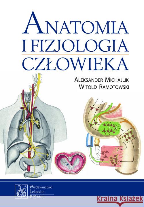 Anatomia i fizjologia człowieka Michajlik Aleksander Ramotowski Witold 9788320046625 PZWL