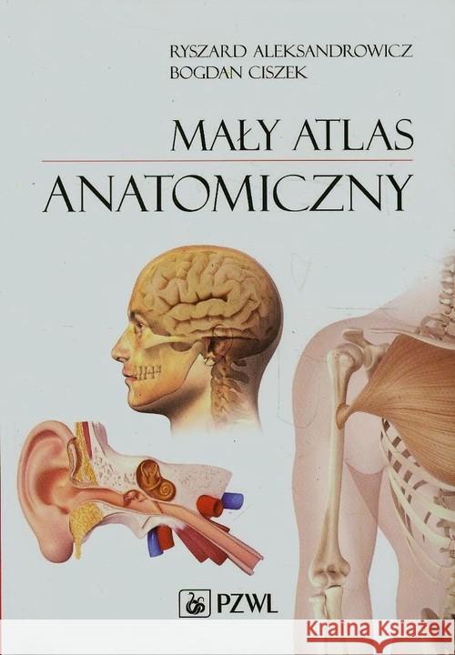 Mały atlas anatomiczny Aleksandrowicz Ryszard Ciszek Bogdan 9788320049206