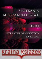 Spotkania międzykulturowe T.1 Literaturoznawstwo Krystyna Jarząbek, Anna Ruttar, Sylwia Sojda 9788322622599