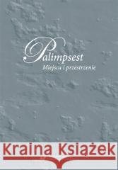 Palimpsest. Miejsca i przestrzenie red. Anna Gomóła, Anna Szawerna-Dyrszka 9788322634011