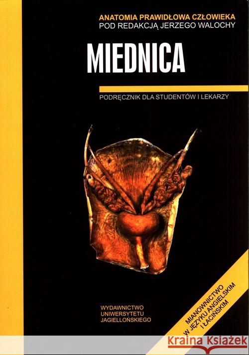 Anatomia prawidłowa człowieka. Miednica  9788323335801 Wydawnictwo Uniwersytetu Jagiellońskiego