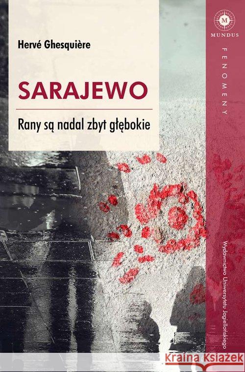 Sarajewo Rany są nadal zbyt głębokie Ghesquière Hervé 9788323342335