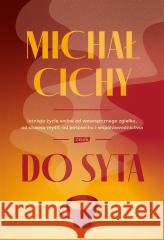 Do syta Michał Cichy 9788324062829