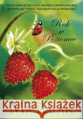 Rok w poziomce w.2023 Katarzyna Michalak 9788324093779