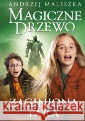 Magiczne Drzewo T.13 Zaginiona para Andrzej Maleszka 9788324098545