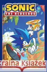 Sonic the Hedgehog T.1  Punkt zwrotny 1 w.2022 Ian Flynn 9788324181445