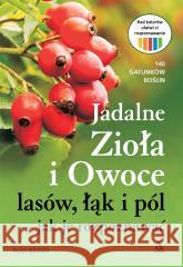 Jadalne zioła i owoce lasów, łąk i pól Rudi Beiser 9788324183937