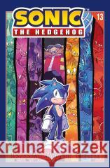 Sonic the Hedgehog T.13 Wszystko albo nic 1 Ian Flynn, Tracy Yardley, Adam Bryce Thomas 9788324184392