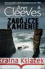 Zabójcze kamienie Ann Cleeves 9788324185115
