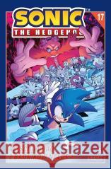 Sonic the Hedgehog 17. Wyścigi Chao i Badników Ian Flynn, Evan Stanley 9788324185191