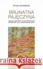 Brunatna pajęczyna Alicja Jarkowska 9788324241064