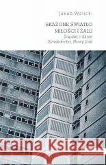 Skażone światło miłości i żalu Jakub Walicki 9788324241927