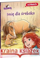 HORSE CLUB. Imię dla źrebaka Stacia Deutsch 9788325346324