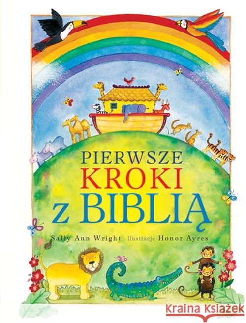 Pierwsze kroki z Biblią Wright Sally Ann 9788325708191