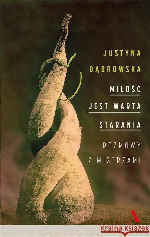 Miłość jest warta starania. Rozmowy z mistrzami Dąbrowska Justyna 9788326827037 Agora