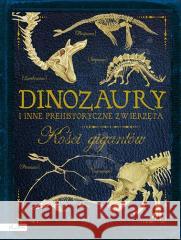 Dinozaury i inne prehistoryczne zwierzęta Colson Rob 9788327106452