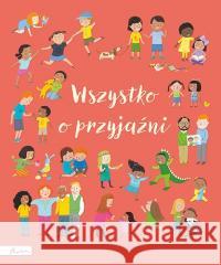 Wszystko o przyjaźni Felicity Brooks, Frankie Allen 9788327106971