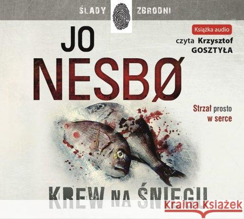 Krew na śniegu. Audiobook Nesbo Jo 9788327156679