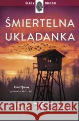 Śmiertelna układanka Lisa Regan 9788327167934