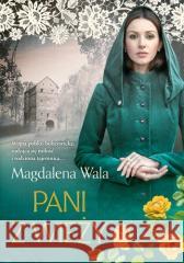 Pani z wieży Magdalena Wala 9788327169068