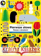 Pierwsze słowa. Plansze z obrazkami Aino-Maija Metsola 9788327472342