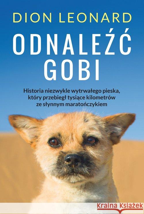 Odnaleźć Gobi. Historia malego psa o wielkim sercu Dion Leonard 9788327635082