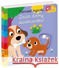 Dzień dobry, szczeniaczku! Akademia mądrego... Nathalie Choux 9788327658470