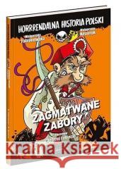 Zagmatwane zabory. Horrrendalna historia Polski Małgorzata Fabianowska, Małgorzata Nesteruk 9788327659866