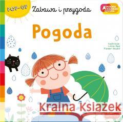 Akademia mądrego dziecka. Pogoda Little red Flower Studio, Little red Flower Studi 9788327663375