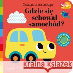Akademia mądrego dziecka. Gdzie się schował... praca zbiorowa 9788327673275