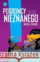 Pogromcy Nieznanego muszą zginąć! Jeph Loeb, Tim Sale 9788328174610