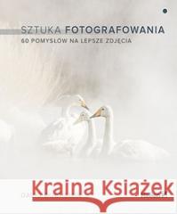 Sztuka fotografowania. 60 pomysłów na lepsze.. David duChemin 9788328397668