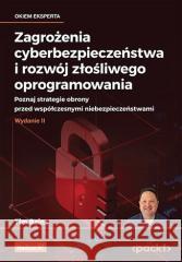 Zagrożenia cyberbezpieczeństwa...w 2 Tim Rains 9788328904583