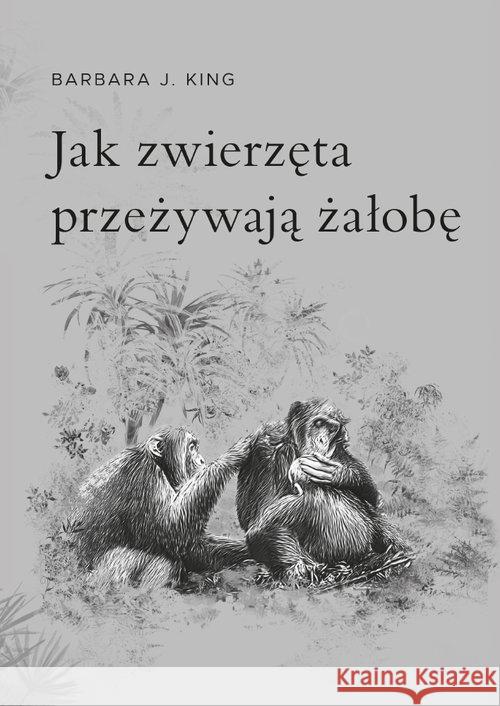 Jak zwierzęta przeżywają żałobę King Barbara J. 9788360170465