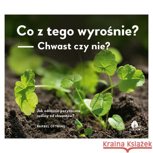 Co z tego wyrośnie? Chwast czy nie? Oftring Bärbel 9788360170908 Purana