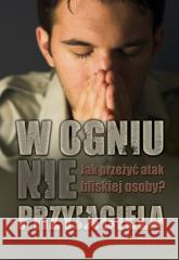 W ogniu nieprzyjaciela Jim Hohnberger 9788360271490