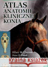 Atlas anatomii klinicznej konia  9788360290897 Urban & Partner
