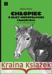 Chłopiec z ulicy Niepoprawnej i kucyki dwa Sylwia Stano 9788360402900