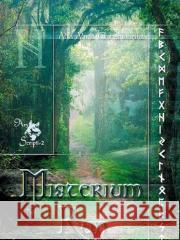 Misterium run w.2 Alla Alicja Chrzanowska 9788360472538