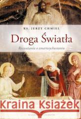 Droga Światła. Rozważania o Zmartwychwstaniu Jerzy Chmiel (ks.), Danuta Michałowska (prof.) 9788360703816