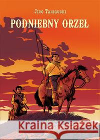 Podniebny Orzeł Taniguchi Jiro 9788360740507