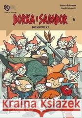 Borka i Sambor T.6 Domowiki Elżbieta Żukowska, Karol Kalinowski 9788361391739