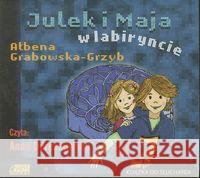 Julek i Maja. W labiryncie audiobook Grabowska-Grzyb Ałbena 9788362199273