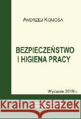 Bezpieczeństwo i higiena pracy w.2019 EKONOMIK Andrzej Komosa 9788362481354