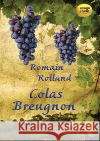 Colas Breugnon audiobook ROMAIN ROLLAND 9788362797769