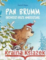 Pan Brumm obchodzi Boże Narodzenie Daniel Napp 9788362836772