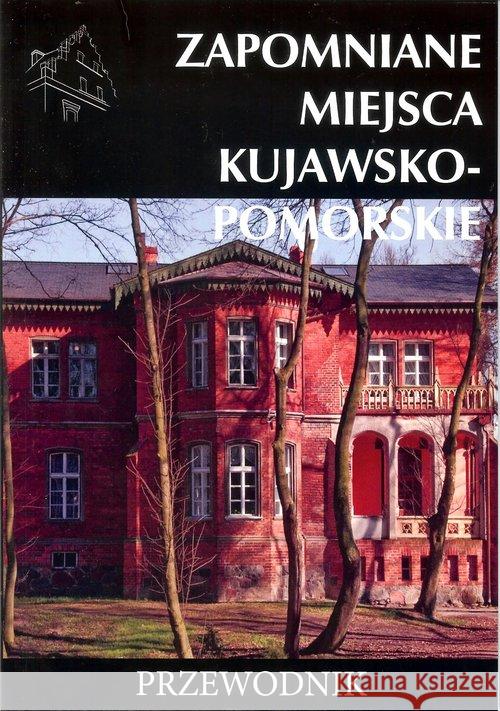 Zapomniane miejsca kujawsko-pomorskie. Przewodnik Stochmal Tomasz 9788363424787