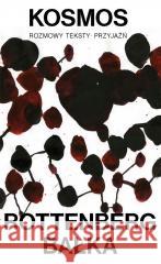 Kosmos. Rozmowy - Teksty - Przyjaźń Anda Rottenberg, Mirosław Bałka 9788363462895