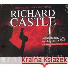 Nikki Heat. Tom 1. Fala upału MP3 - audiobook Castle Richard 9788363737146 12 Posterunek