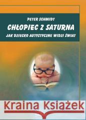 Chłopiec z Saturna Peter Schmidt 9788363766764